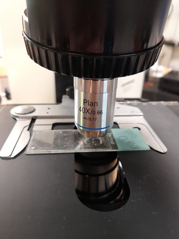 Olympus BX 40 - Afbeelding 3